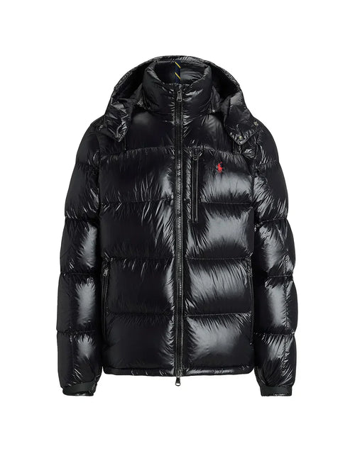 'RL' Shiny Puffer